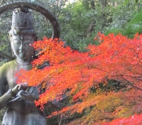 香川県厄除け菩薩