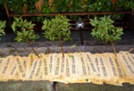 願掛け地蔵　香川県