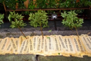 病気平癒　香川県