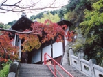 弥谷寺大師堂